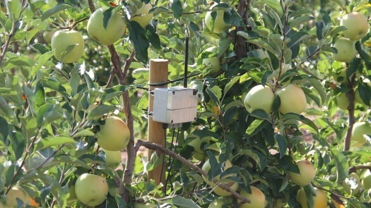 irta-proyecto-DIGIREG-riego|irta-proyecto-DIGIREG-riego